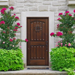 Rustic Mahogany Type Two Panel V-Groove Arch Top Solid Wood Exterior Door